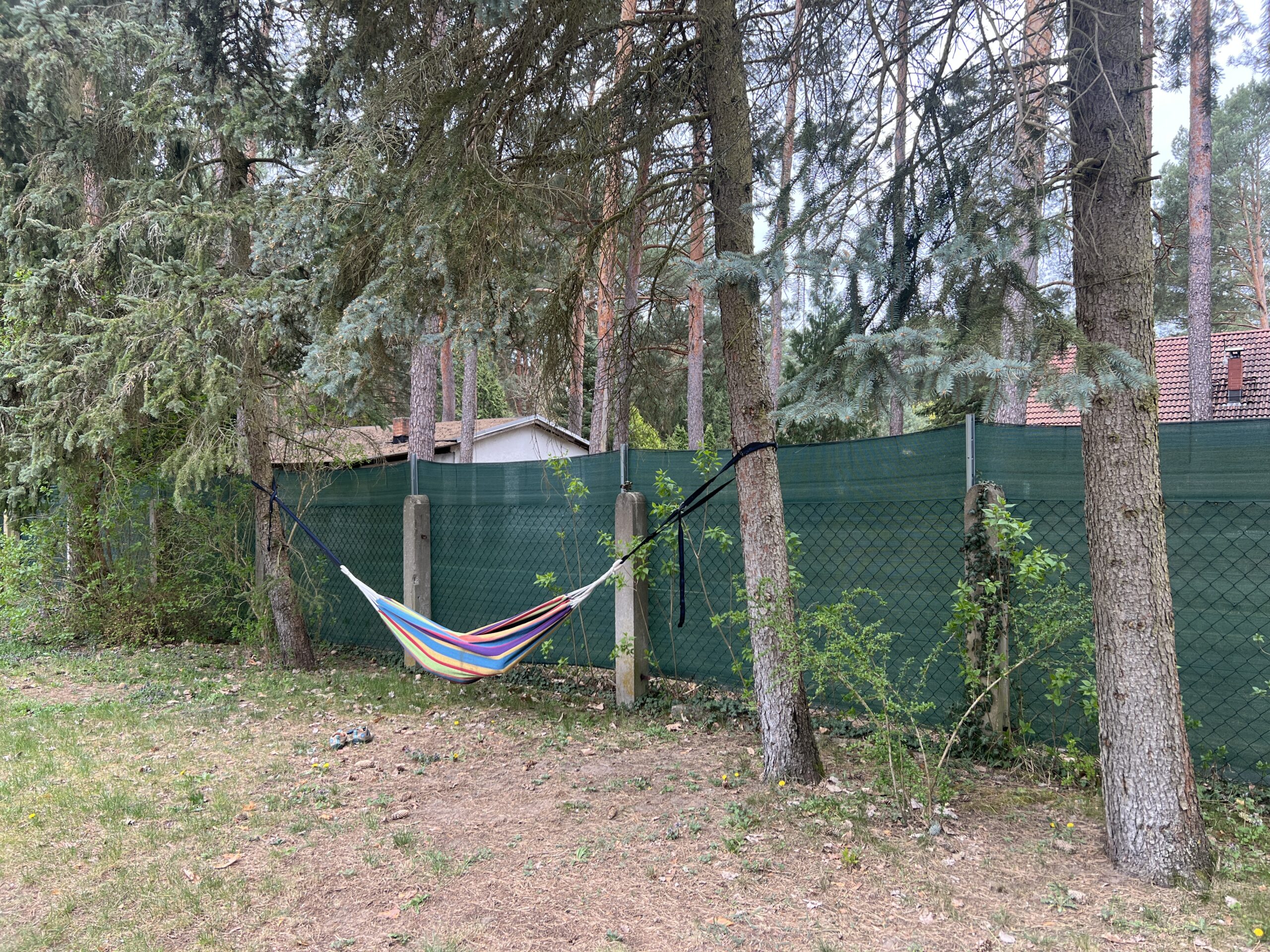 Ferienhaus Haengematte